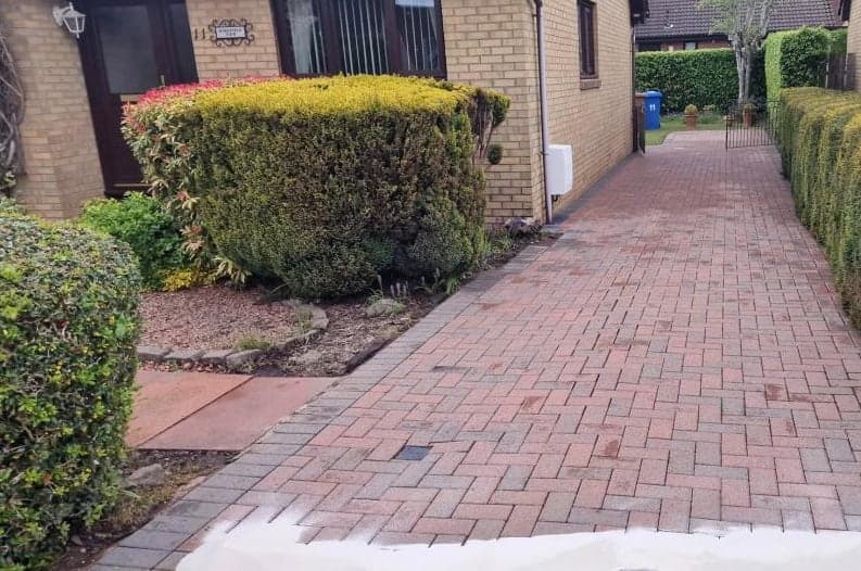 Garden path, part cleaned, cleaned by Steam King