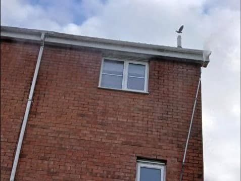 Gutter Cleaning & Clearing by Steam King in the Falkirk area